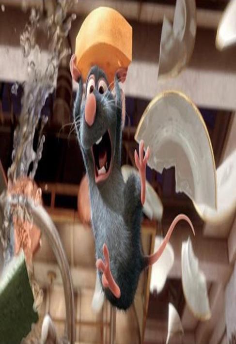 فيلم كرتون الفار الطباخ كامل مدبلج بالعربي