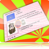 Driver License Generator APK