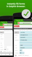 Dolphin Autofill by Fillr پوسٹر