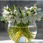 Snow Drops Jigsaw Puzzles আইকন