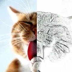 Pencil Sketch Photo Effect