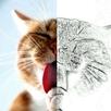 Pencil Sketch Photo Effect APK