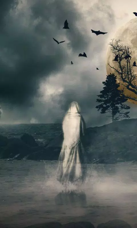 下载神秘壁纸的安卓版本 下载神秘壁纸的安卓版本