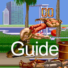 Guide Final Fight icône