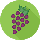 Preserve APK