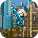 Guia Final Fight APK