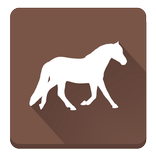 Horse & Pony Breeds Free Guide