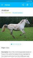 1 Schermata Horse Breeds Equestrian Guide