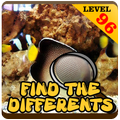 Find Differences Animal lv 69
