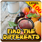 Find Differences Food lv 100 icon