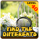 Find Differences Summer lv 40 APK