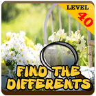 Find Differences Summer lv 40 icon