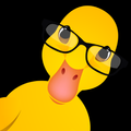 Duck Pictures