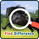 Find Differences Horses APK