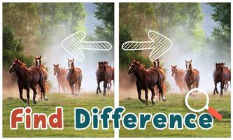 Find Differences Horses Affiche
