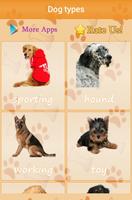 Dog breeds catalog poster