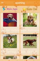 Dog breeds catalog capture d'écran 1