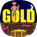 The Gold Finder Pro