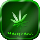 Marijuana Wallpapers أيقونة