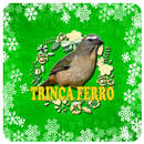 Trinca Ferro-Tia Chica's APK