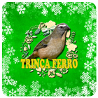Trinca Ferro-Tia Chica's icône