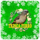 Trinca Ferro-Tia Chica's icône