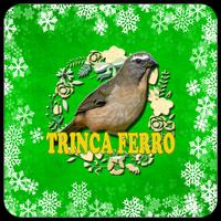 Trinca Ferro-Tia Chica's Affiche