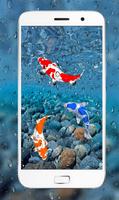 Fish Live 3D Wallpaper 2018 : Dynamic Aquarium Koi poster