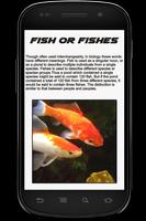 Fish Info Book Affiche
