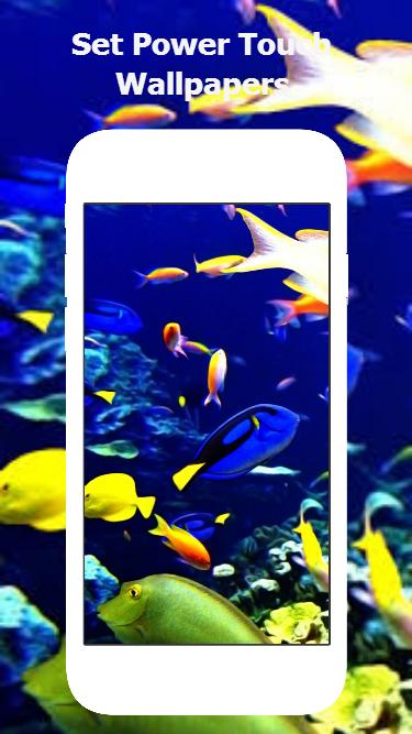 Koi Fish Live Wallpaper – Magic Touch Wallpaper安卓下载，安卓版APK | 免费下载
