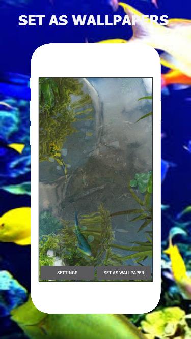 Koi Fish Live Wallpaper – Magic Touch Wallpaper安卓下载，安卓版APK | 免费下载