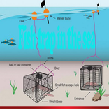 fish trap in the sea