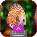 Animated Aquarium Fish Keyboard