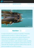 FishApp Atlas скриншот 2