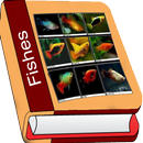 Fish APK