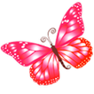 ”Butterfly Catcher