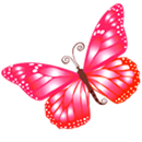 Butterfly Catcher APK