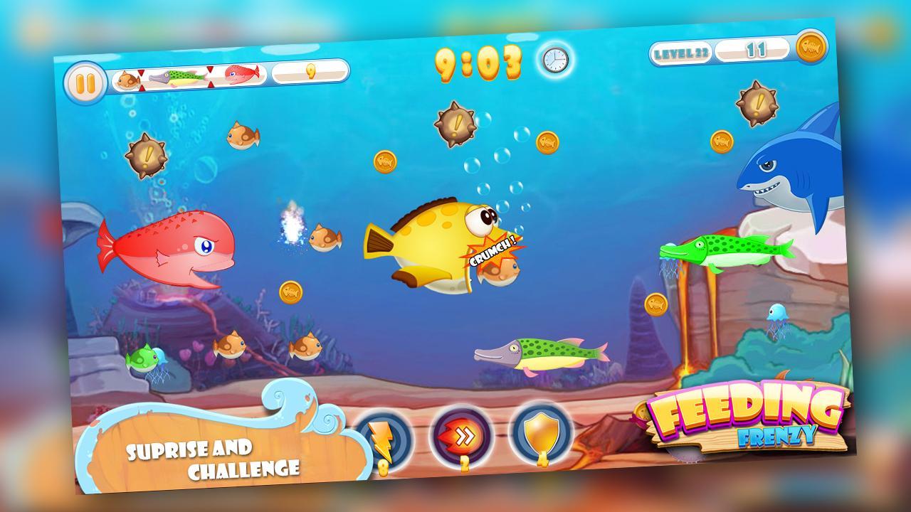 Ответы игра рыба. Игра feeding Frenzy 1. Игра Frenzy Fish. Игра рыбки для детей. Игра рыбки 2006 год.