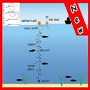 Fishing Knots APK