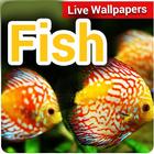 Fish live wallpaper - Animated Fish Wallpaper icon