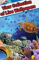 Fish live wallpaper - Animated Fish Wallpaper screenshot 1