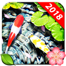 Fish Live Wallpaper Koi Pond Aquarium APK