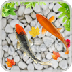 Koi Fish pond live Wallpaper 3D aquarium
