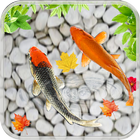 Koi Fish pond live Wallpaper 3D aquarium simgesi