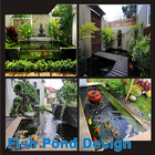 Fish Pond Design icône