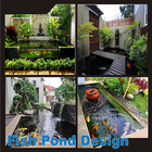 آیکون‌ Fish Pond Design