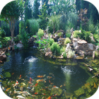 Fish Pond Design Ideas ikona