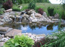 Fish Pond Design Ideas capture d'écran 3