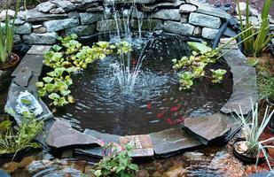 برنامه‌نما Fish Pond Design Ideas عکس از صفحه