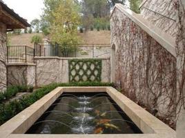 Fish Pond Ideas الملصق